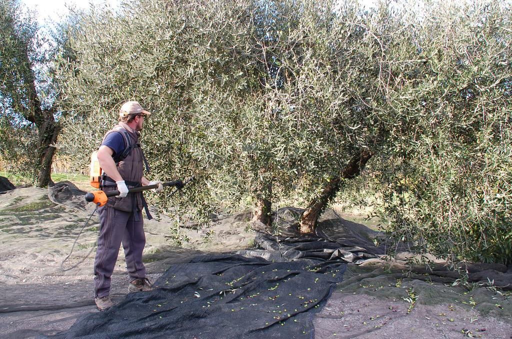 הוילה בארברינו די ואל ד'אלסה Due Piani מראה חיצוני תמונה